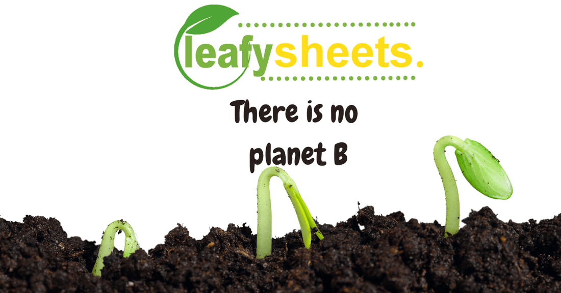 Revolutionizing Eco-Friendly Housekeeping with Leafy Sheets